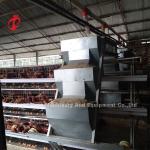Egg Laying Chicken 96 Birds Broiler Battery Cage System Durable Corrosion