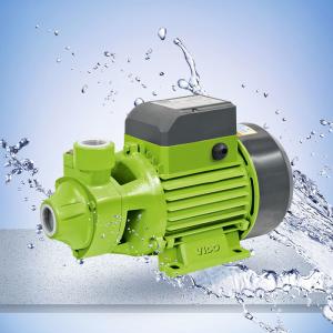 Quality 60L/Min 1 HP Peripheral Household Water Pumps，Cast iron for the pump head is anti-rust wholesale