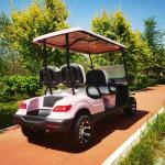 Pink Color 60V 4KW AC System EV Golf Cart New Energy Off Road Electric Golf Cart