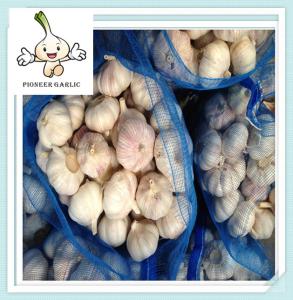 Quality 2016 New Garlic Grop Normal garlic packaged 20kg/mesh Bag Garlic Exported wholesale