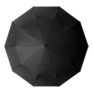 Quality Windproof 10-Ribbed Metal Shaft Automatic Open / Close Travel Umbrella wholesale