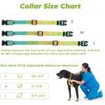 Luxury Retractable Dog Leash Gradient Colors Dog Collar Leash Set For Small Dog