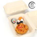 9-Inch Sugarcane Bagasse Clamshell Lunch Box Disposable and Biodegradable Food