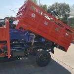 China 300cc BestSale HeavyLoadingDeliveryCargoPetrolTypeThreeWheelMotorbikeBenzi