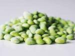 ISO22000 HACCP Approved Frozen Edamame Pods IQF Bulk Green