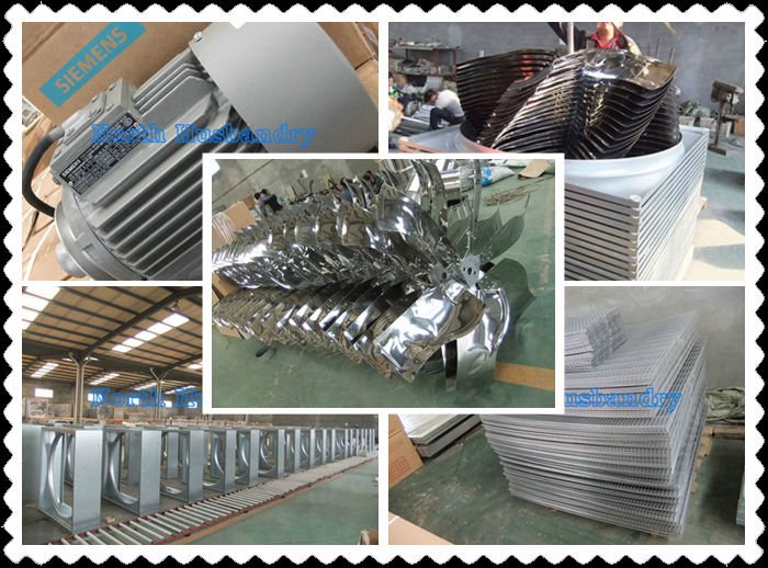 Saudi Arabia Best Swung drop hammer exhaust fan cheap poultry fan