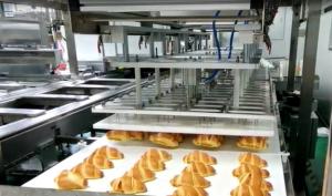 Quality Fully Automatic Croissant industrial Production Line wholesale