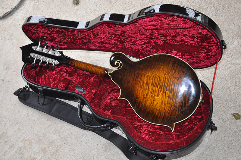 Handmade custom advanced 8 strings QT-F5 mandolin electric guitar with ebony fretboard