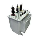 Oil Immersed Power Distribution Transformer 250kva 3 Phase Outdoor 10kv To 240v