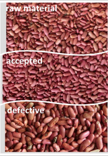 7 Channels Cashew Nut /Beans Processing Machine Intelligent Sort Machine