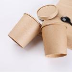 Multiscene Kraft Paper Packaging