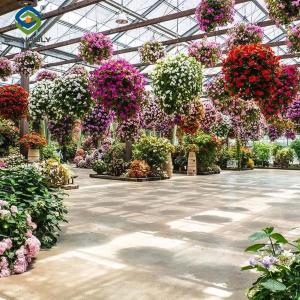 Quality Stronger Structure Flower Greenhouse Waterproofing Weather Resistant wholesale