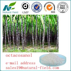 Quality China manufacturer Octacosanol wholesale