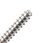 INCH Measurement System SUS304 Stainless Steel Flat Point Self Drilling Tapping