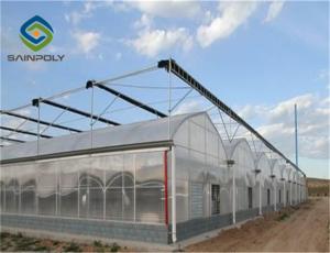 Quality Venlo Roof 9.6m Multi Span Greenhouse For Vegetables wholesale
