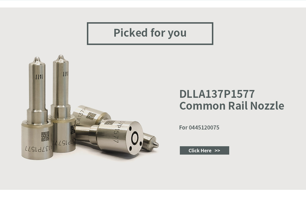 0445120075 Bosch Injector Repair Kit