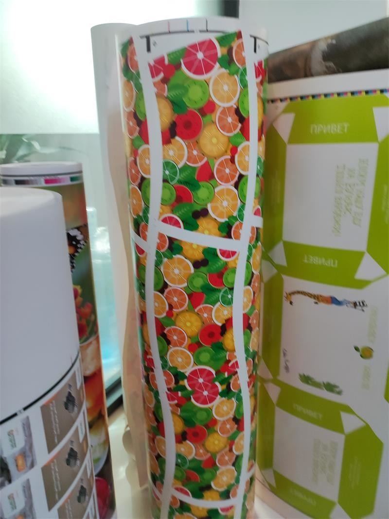 Efficiently Designed Paper Bag Roll to Roll Flexo Printing Machine with IR Dryer