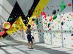 1322g Artificial GRP Kids Climbing Holds 5-Piece Set of Pieces