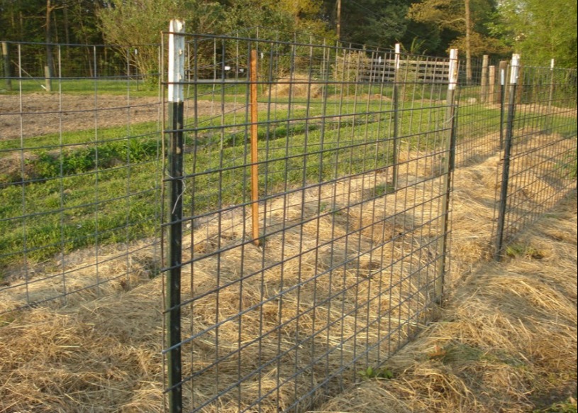 Black Painted Steel Studded T Post 7 Ft 30*30mm*3.0mm