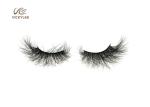 Sustained Plastic Stalk ODM Dramatic Fake Lashes
