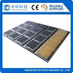 Customize Egg Tray Mould , Food Grade PP Plastic Injection Mould