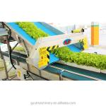 Electric Wheat/Barley Harvester 380v Voltage for Babyleaf Tray Harvesting