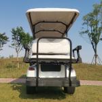 6+2 Seats Electric Golf Cart 60V 100AH ​​Lead Acid Battery Modern Leisure Golf