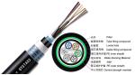 GYTA53 Loose Tube Direct Burial Outdoor Fiber Optic Cable 2 - 144 Strand Armored