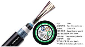 Quality GYTA53 Loose Tube Direct Burial Outdoor Fiber Optic Cable 2 - 144 Strand Armored Ethernet Cable wholesale