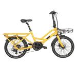 20 Inch Retro Dual 250W Electric Cargo Bike 7 Speed 36V 7.8Ah Lithium Battery