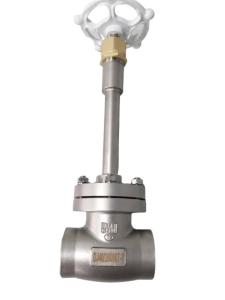 Quality Liquid Ammonia SS304 SS316 Cryogenic Globe Valve DN10-100 wholesale