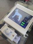Wholesale Veterinary Surgical Instruments Veterinary X Ray
