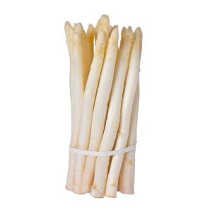 Quality IQF Frozen White Asparagus Whole Spear wholesale