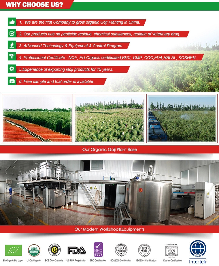Fresh Goji Berry made of Healthy Concentrate Goji Juice goji juice concentrate extracting fresh juice goji berry