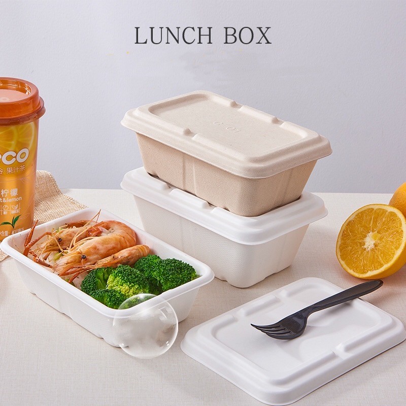 Disposable Pulp Food Containers Take Away Lunch Box Sugarcane Bagasse Biodegradable