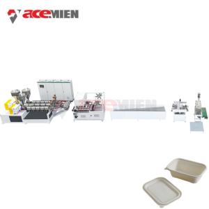 Quality Biodegradable PP Disposable Lunch Box Making Machine wholesale