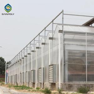 Quality Skeleton 12m Flower Polycarbonate Greenhouse Heat Resistance wholesale