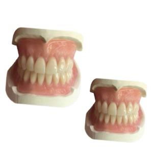 Quality CAD Denture Dental Lab CAM Rubber 3D Printed Tooth Crown Natrural Shade wholesale