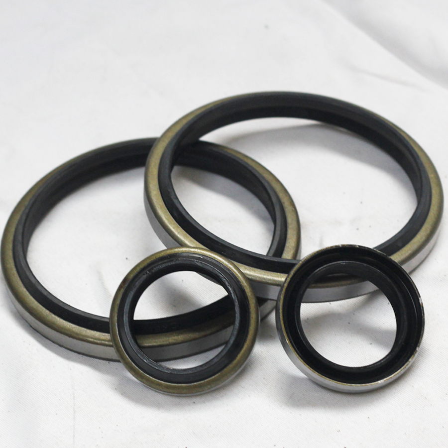 SEALS DKB Hydraulic Scraper Wiper Dust Oil Seals Versatile Packaging Options