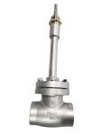 Casting Stainless Steel DN25 PN50 Cryogenic Handwheel Globe Valve