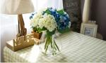 Simple Modern Clear Glass and Rope Glass Vase