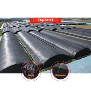 Quality Blackout Curtain Green House Black Agricultural Greenhouses Tunneling For Mushroom wholesale