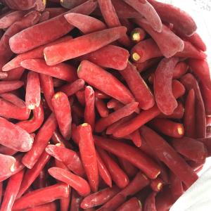 Quality Wholesale Prices Spicy Taste IQF Frozen Vegetables / Jinta Red Chilli Without Stalks wholesale
