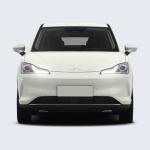 Neta V 400 Lite New Energy Electric Car GAC AION Y Small SUV 150Km/H