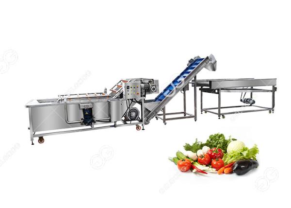 380V CE Certified Stainless Steel Commercial Fruit And Vegetable Washing