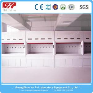 Quality Anti - Acid Walk In Fume Hood Durable PP Structure For Laboratory wholesale