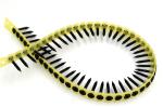 Collated Drywall Screw