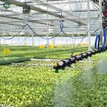 PVC Gutter Soilless Culture Hydroponic Lettuce Greenhouse Anti Corrosion