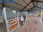 Luxurious Elegant Mesh Stall Fronts Pre Build Durable European Style 2.3 Meters