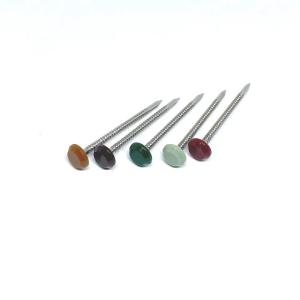 Quality Annular Groove 316 Stainless Steel Poly Head Nails 50MM Length wholesale